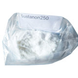 High Quality Sustanon250 Powder (Testosteron Mixed) Blend