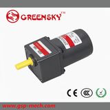 Popular Mini 6W Reversible AC Motor