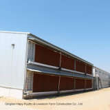 2015 Hapy New Two Story Poultry Steel Warehouse