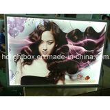 Curved Aluminum Snap Frame Advertising LED Light Box