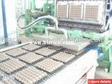 Hot Sale Egg Tray Processing Equipment/Egg Box/Egg Tray/Fruit Tray Molding Machine/High Demand Products 3600PCS/Hr