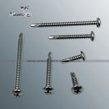 DIN7504 St2.9-St6.3 Philips Pan Head Drilling Stainless Steel Fastener (SS016-2)