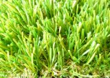 Artificial Grass for Roof Garden (JCDQJ-4-35)
