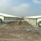 Full Set High Quality Steel Structure Prefabricated Poultry House