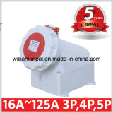 IP67 3p+E 63A 400V Wall-Mounted Power Outlet