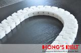 Plastic Conveyor Case Chain with FDA Certificate (HS-F54)