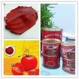 Drummed Tomato Sauce Tomato Paste for Pizza