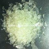 Polyester Resin