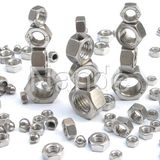 Stainless Steel Nut