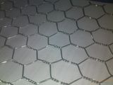 Anping Hexagonal Wire Mesh/Hexagonal Mesh/PVC Hexagonal Mesh