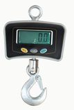 Electronic Crane Scale