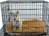 Polished and Bright Durable Metal Pet Cage