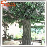 China Supplier Artificial Banyan Tree for Home Decoration