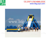Large Inflatable Slide, Inflatable Super Slide (DJWS009)