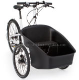 Family Cargo Bike for Children (DT-022)