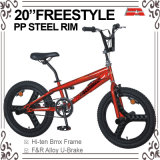 20 Inch BMX Freestyle Bicycle (ABS-2013S)