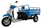 Three Wheel New Producted Cargo Tricycle