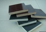 Quality Film Faced Plywood for Construction (ZL-CP)