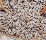 2015 New Top Chinese Sunflower Seed Kernels
