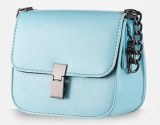 Fashionable Handbag Desinger Handbags (LDB-017)