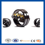 Spherical Roller Bearings Sjzc 22206-E1