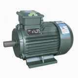 Y2 Iron Induction Electric Motors-B3 (Y2-132-2)