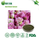 Red Clover Extract Isoflavone 8% 20% 40%