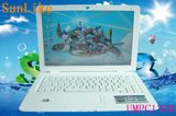 13.3 Inch UMPC with Windows 2000