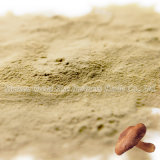 Great Taste Organic Shiitake Mushroom Extract Powder