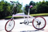 Dolphin Bicycle,