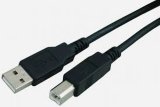 Type a Male to B Male USB Cable