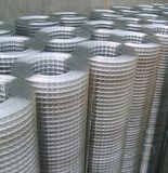 Galvanized Welded Wire Mesh (1/2'' 1/4'' 1'')