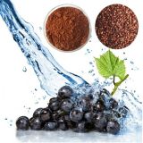 Antioxidant Herb 100% Natural Soluble Grape Seed Extract