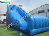 Inflatable Giant Water Slide