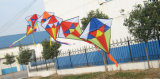 Traditional Kites (Worldkite-06)
