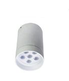 LED Ceiling Light (DLS-C1012)