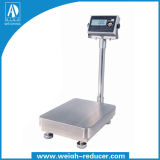 Tcs Stainless Steel Bench Scale with WiFi
