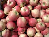 Red Star Apple