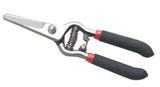 Grape Scissors (DR11067)
