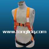 Fall Protection Safety Belt