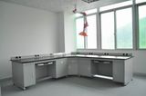 Professional Lab Furniture Lab Wall Bench Lab Side Bench (QG-H-YQT-15)
