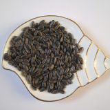 Oil Sunflower Seeds (033)