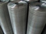 Galvanized Welded Wire Mesh S0202