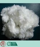 Polyester Staple Fiber