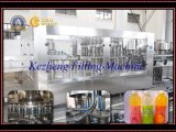 Fruit Juice Bottling Machine/Hot Filling Process