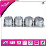 Colorful Stainless Steel Spice Jar (FH-KTE02-4S)