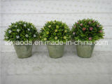 Artificial Plastic Potted Flower (XD15-408)