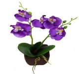 Sf-11-174 New Coming Small 2-Branch Mini Orchid Artificial Bonsai