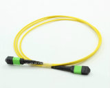 MPO/APC 24 Fibers Cable Fibre for High Density Transmission