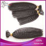 Natural Color Kinky Straight Unprocessed Indian Remy Human Hair Bulk